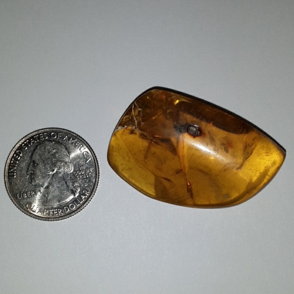 Baltic Amber - Picture 5 of 5